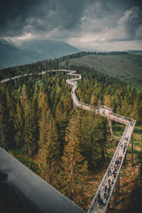 High angle view of road amidst plants against sky