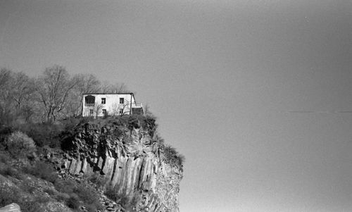 Plants growing in front of house
