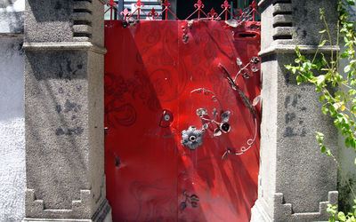 Close-up of red flower