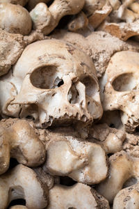 Full frame shot of human skull