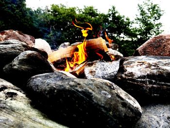 View of firewood on rock