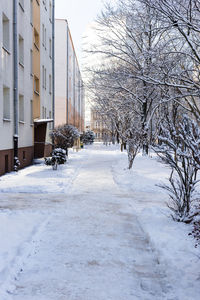 Snow covered road by buildings in city