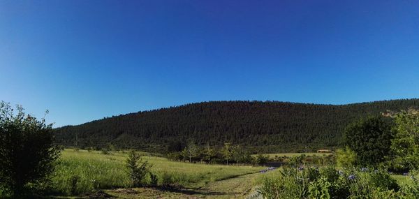 Scenic view of landscape against clear blue sky