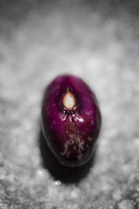 Close-up of purple fruit