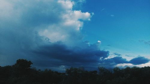 Low angle view of trees against cloudy sky