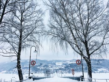 Bare trees on snow covered field against sky