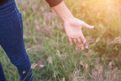 Midsection of woman hand on field