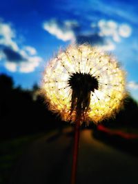 Close-up of dandelion flower against sky