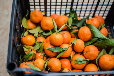 Close-up of orange fruit