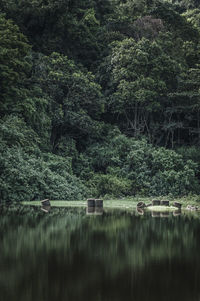 Scenic view of lake by trees against sky