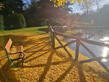 Scenic view of field in park