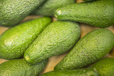 Full frame shot of green leaves