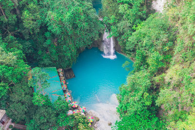 High angle view of waterfall along trees