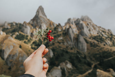 Close-up of hand holding berry against mountain