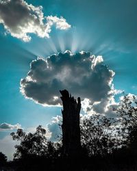 Low angle view of silhouette trees against sky