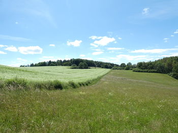 Scenic view of field against sky