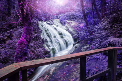 Scenic view of waterfall in forest