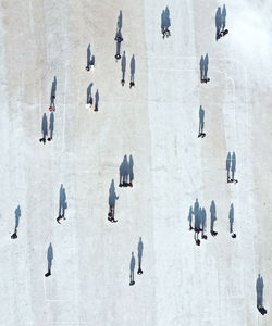 High angle view of people walking in city