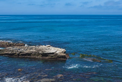 Cormorants gather on a rock on the pacific ocean at la jolla in san diego, california