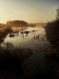 Scenic view of lake at sunset