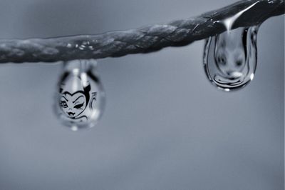 Close-up of water droplet 