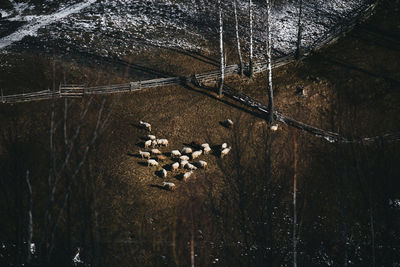 Full frame shot of wet ground