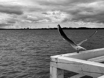 Seagull flying over sea against sky