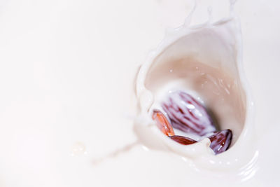 Close-up of ice cream over white background