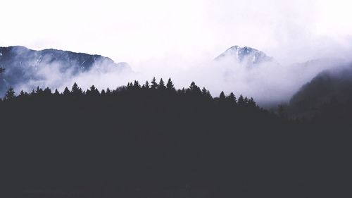 Silhouette trees on mountain against sky