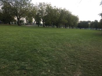 Trees on field against sky