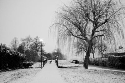 Bare trees on snow covered road against sky