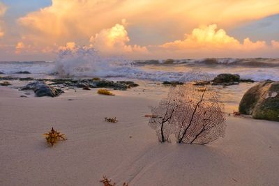 Scenic view of beach against sky during sunset