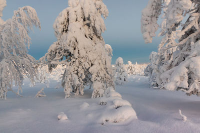 Scenic view of snow covered landscape against sky