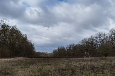 Trees on field against sky