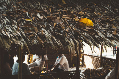 People sitting in thatched roof hut