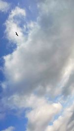 Low angle view of bird flying in sky