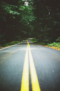 Close-up of road against trees