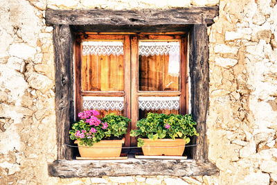 Potted plants on window sill of building