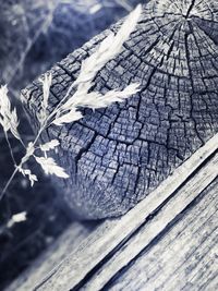 Close-up of wooden plank