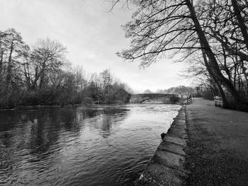 River amidst bare trees against sky