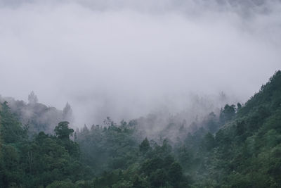 Scenic view of foggy weather against sky