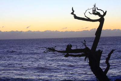 Scenic view of sea at sunset