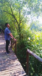 Man standing on footbridge in forest