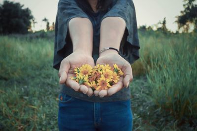 Midsection of man holding flower on field