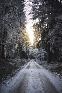 Road amidst trees against sky during sunset