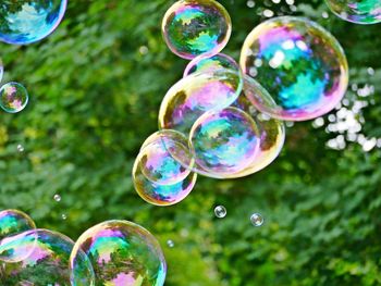 Close-up of bubbles