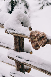 Gloves hanging on a wooden fence