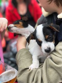 Puppies in public