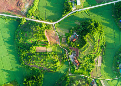 Aerial view of agricultural landscape