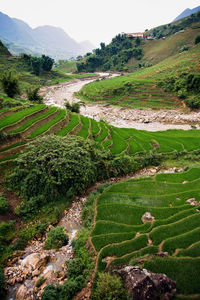 High angle view of agricultural field